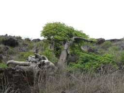 269739_10150262255319901_7225747_n